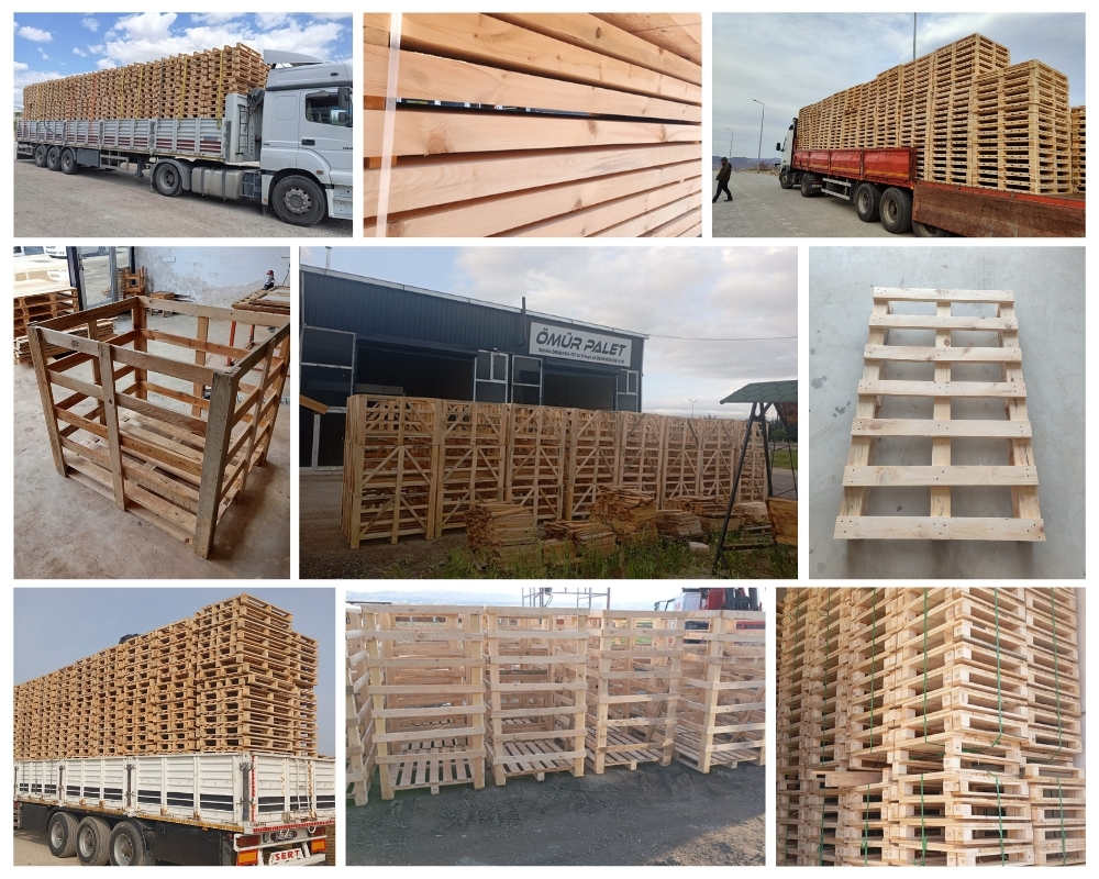 Halfweg Houten Kisten, Europallets Groothandel Kopen